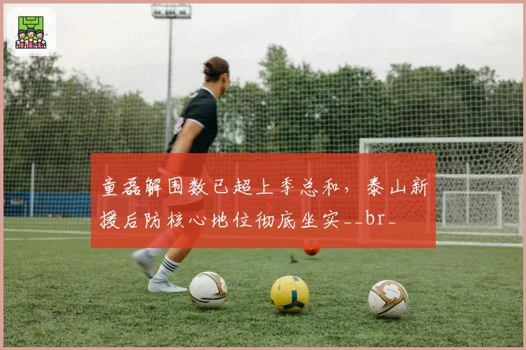 童磊解围数已超上季总和,泰山新援后防核心地位彻底坐实__br_
