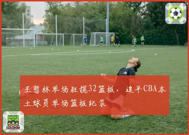 王哲林单场狂揽32篮板，追平CBA本土球员单场篮板纪录