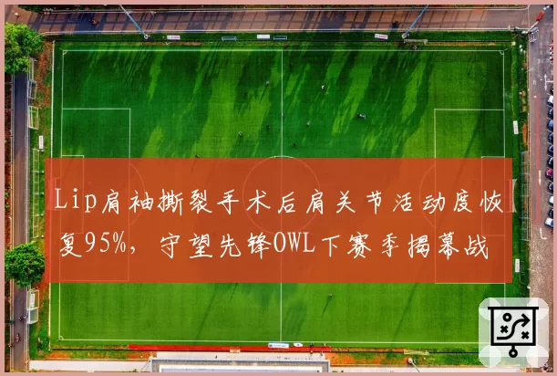 Lip肩袖撕裂手术后肩关节活动度恢复95%，守望先锋OWL下赛季揭幕战复出
